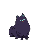 Jezzi's Pomeranian