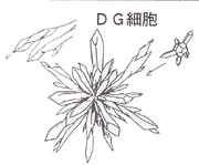 Closeup of a DG Cell