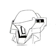Head