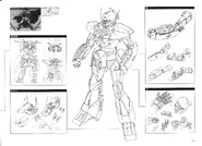 Back, Foot, Arm and Hand Details