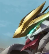 Eyes side view (McGillis Fareed)