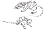 Lineart of a DG Cell infected rat