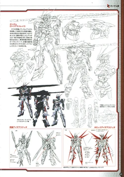 Load Astray W The Gundam Wiki Fandom