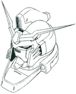 Head