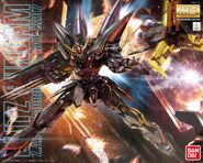 MG 1/100 GAT-X207 Blitz Gundam (2012): box art