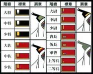 Rank insignias & shoulder patches (Gundam Perfect Files, Issue 132)