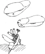 Ma-06-plasmaleader.jpg (17 KB) Plasma leader