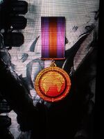 1stClassWarMedal