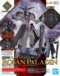 A-04. Class Up Armor (Rosan Paladin)