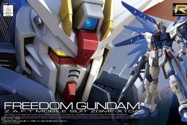 RG ZGMF-X10A Freedom Gundam (Ver. GCP) | Gunpla Wiki | Fandom
