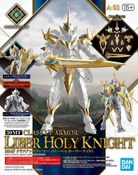 A-01. Class Up Armor (Liber Holy Knight)