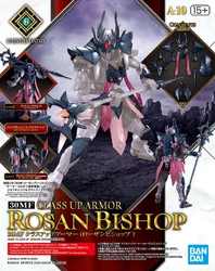 A-10. Class Up Armor (Rosan Bishop)