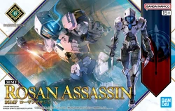 12. Rosan Assassin