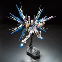 RG Strike Freedom 04