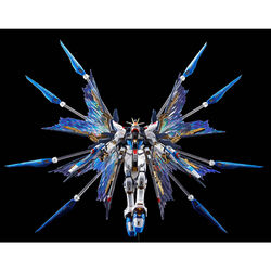 RG ZGMF-X20A Strike Freedom Gundam (Titanium Finish