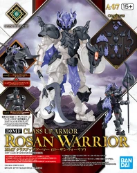 A-07. Class Up Armor (Rosan Warrior)