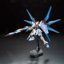 RG Strike Freedom 03