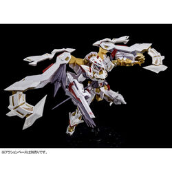 RG 1/144 GUNDAM ASTRAY GOLD FRAME AMATSU HANA | GUNDAM