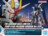 RG ZGMF-X10A Freedom Gundam (Ver. GCP)