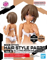 Option Hair Style Parts Vol.6 All 4 Types Medium Hair 2 (Brown 1)