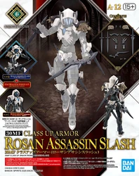A-12. Class Up Armor (Rosan Assassin Slash)