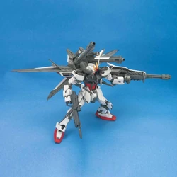 MG GAT-X105+P202QX Strike Gundam IWSP | Gunpla Wiki | Fandom