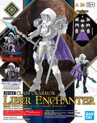 A-14. Class Up Armor (Liber Enchanter)