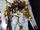 PG MBF-P01 Gundam Astray Gold Frame