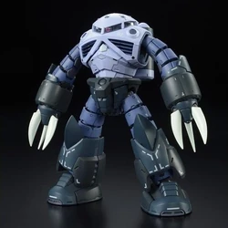 RG MSM-07 Z'Gok | Gunpla Wiki | Fandom