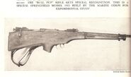 Clipping of the M1903 Bull Pup from what appears to be a report.