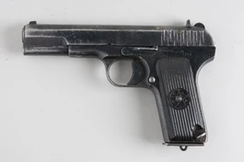 TT-33pistol