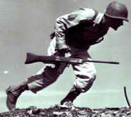 Model45A10.jpg (333 KB)