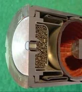 Cmo10febe.jpg (9 KB) DBCATA primer. Photo by Paul Smith.