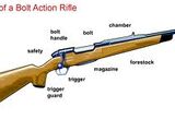 Bolt action