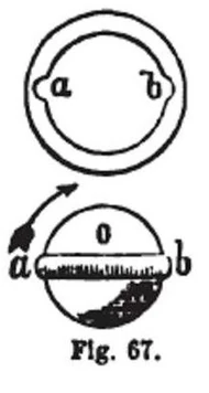 Diagram of the bore and specifically shaped ball used by the Brunswick