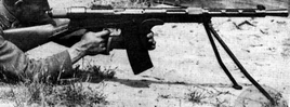 Frommer automatic rifle