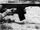 Frommer automatic rifle