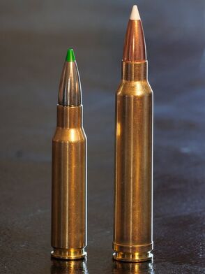 6.5 Creedmoor vs. 300 Win Mag