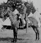 Rexer machine gun | Gun Wiki | Fandom