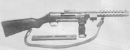 SIG M1930 with vertical foregrip and right-feeding magazine.