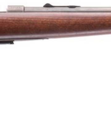 Winchester model 69-22