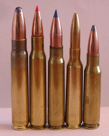 30 06 springfield gun wiki fandom