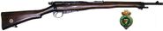 Ricleeenfield.jpg (41 KB) Royal Irish Constabulary Lee Enfield