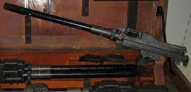 Mg81