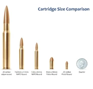 A rifle cartridge size diagram showing different types of rifle cartridges