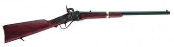 Sharps rifle