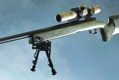 M24 Sniper Weapon System | Gun Wiki | Fandom