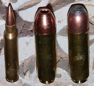 320px-Beowulf Cartridges.jpg