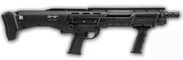 DP12