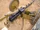 KPV heavy machine gun